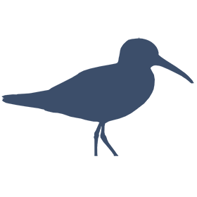 piper app icon